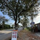 봄봄한북로점 | [제주김밥]129. 제주 오등동 / 제주 휴게소 김밥 ‘ 옴팡휴게점 ’