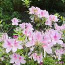 연꽃못작은도서관 | 6일 대만 타이베이 여행 3일차 : 타이베이 시립도서관(臺北市立圖書館), 쌍월 문문푸드(雙月, Moon Moon...