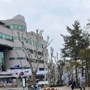 바디블룸피트니스카페