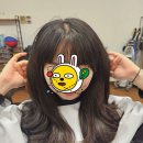벨루스헤어샵 이미지