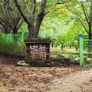 봉양로-1 이미지