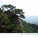 관양중학교 버스정류장 이미지