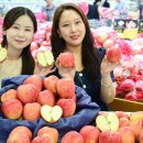 홍로 이미지