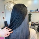 헤어볼하우스 이미지