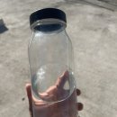 제주애견카페 초록동산 이미지