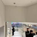 을지로입구역 손상원 클라이밍짐 솔직 후기