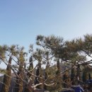서부직업전문학교
