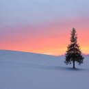 홋카이도 이미지