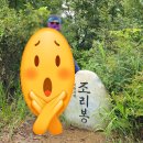 비슬목장 이미지