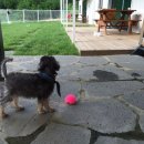 디제이 뭉 이미지