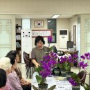 원예힐링교실 이미지