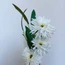 서울 웨딩스튜디오 추천 : 클레이앤클레어 웨딩촬영 후기 2탄 (순수청담 헤어변형·간식 꿀팁)