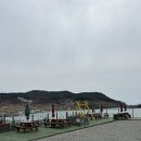 개올나잇