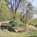 묘안옹달샘 이미지