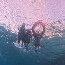 ok supermarket | 가족 보홀여행-2일차차차