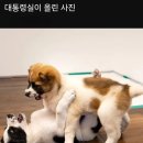 대통령실이 올린 사진 이미지