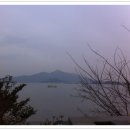 내리해물 이미지