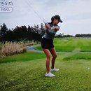 전지선