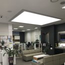 sh수협은행 앞 이미지