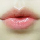 핑크로즈553
