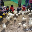 내기농장 이미지