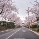 예래동사무소 이미지