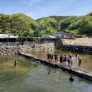 힘찬기합소리 | #고산동태권도 #힘찬태권도 #시지동태권도 #힘찬기합소리태권도 #태권도 #emp #유아체능포키짐 #무지개...