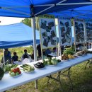 상가농장 이미지