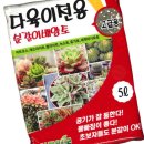 흙 - 보령시 | 흙