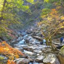 설악동 비룡폭포, 오색 흘림골 이미지