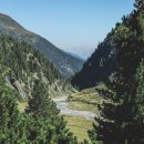 원골농원 이미지