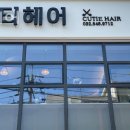 작전동미용실 큐티헤어 후기 브레이크타임 영업시간 가격