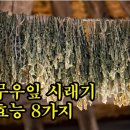 무우잎 시래기 효능 8가지 이미지