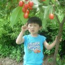 보리수어린이집