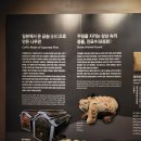 신광유치원 | 공주 여행 | 가볼만한 곳 무령왕릉, 공산성, 미르섬, 전국구 짬뽕 맛집 동해원