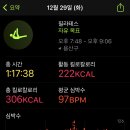 D15 이미지