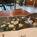 황혜정스튜디오 이미지