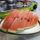 남산오리농장 이미지