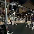 마크짐휘트니스 이미지