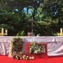 2016년 9월 21일 성 마태오 사도 복음사가 축일 이미지