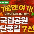 6417 | 🍁[국립공원공단 보도자료] 가을엔 여기! 단풍 명소 7선