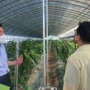 의성군농업기술센터 이미지