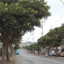 애월보건지소 이미지