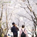 의왕시청 국제뉴스