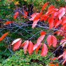 마음다짐 이미지