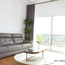 제주에내집 이미지