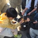 놀아줄개 | 울산 장생포에 롤러코스터?고래박물관 꿀팁 총정리 (모노레일, 돌고래, 동선) - 울산 주말 가볼만한 곳