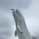 장생포고래박물관 이미지