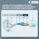 시그니아독일보청기남부산센터