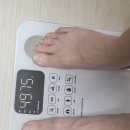 체인지 핏 이미지